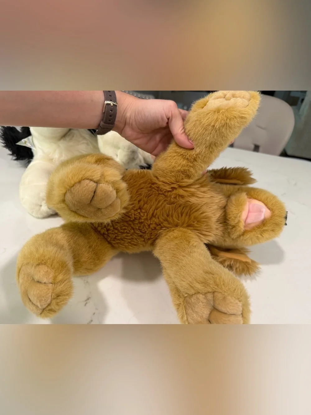 Build-A-Bear Plush Puppy Pair - Golden Retriever and Border Collie - vintage